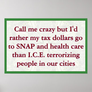 Póster SNAP not ICE