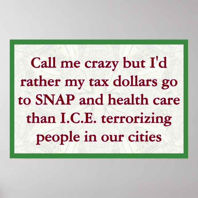 Póster SNAP not ICE (Frente)