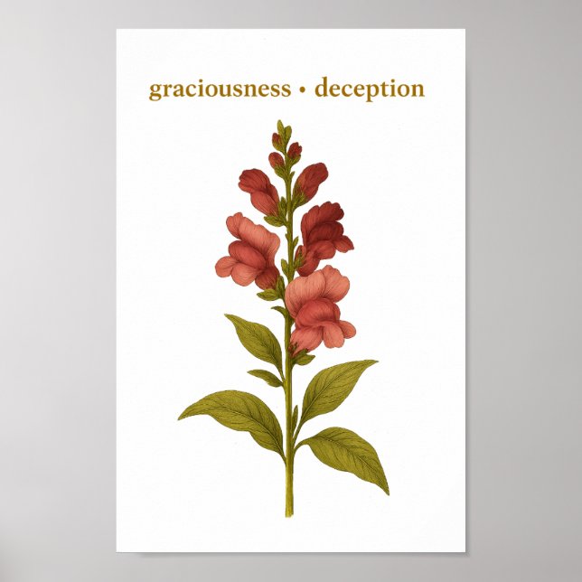Póster Snapdragon — Graciosidad, engaño (Frente)