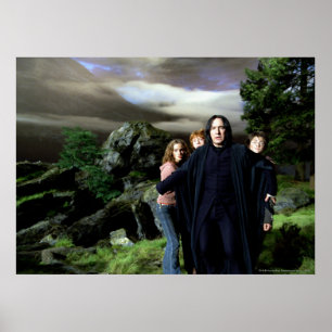 Póster Snape Hermoine Ron Harry