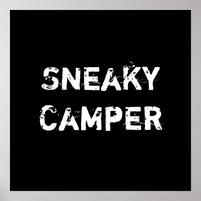 Póster Sneaky Camper. Gamer (Frente)