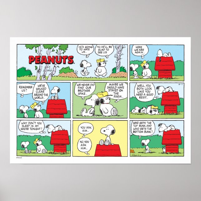 Póster Snoopy y sus hermanos Andy & Olaf (Frente)