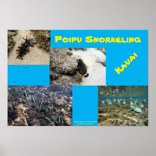 Póster Snorkel Poipu
