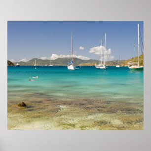 Póster Snorkelers en la idílica cala Pirates Bight, Bight