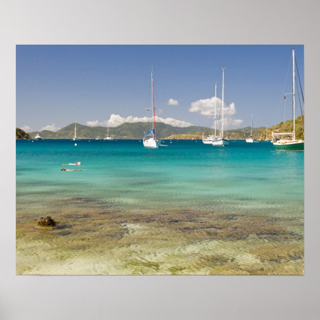 Póster Snorkelers en la idílica cala Pirates Bight, Bight (Frente)