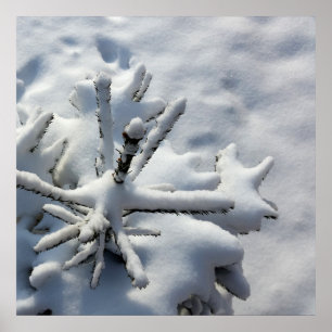 Póster Snow blanket