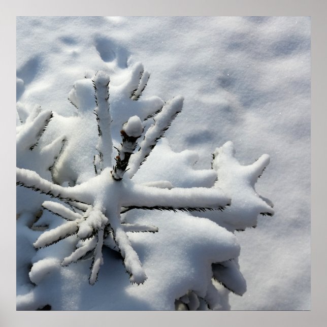 Póster Snow blanket (Frente)