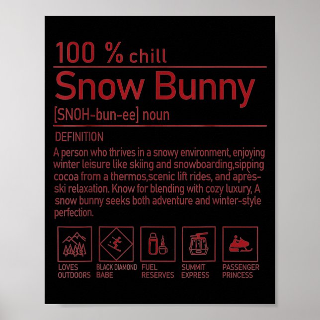 Póster Snow Bunny Definition Funny Trendy Winter Skiing C (Frente)