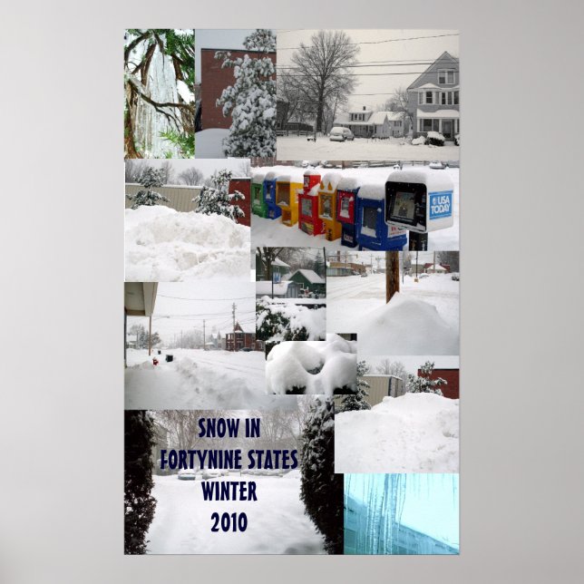 Póster SNOW COLLAGE WINTER 2010 poster (Frente)