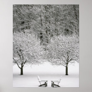 Póster Snow covered landscape