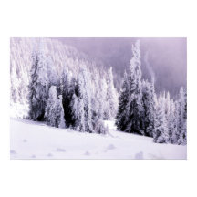 Snow covered landscape poster