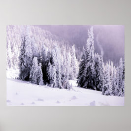 Póster Snow covered landscape poster