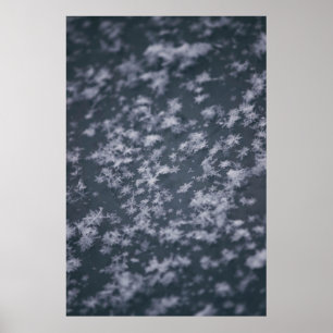Póster Snow flakes
