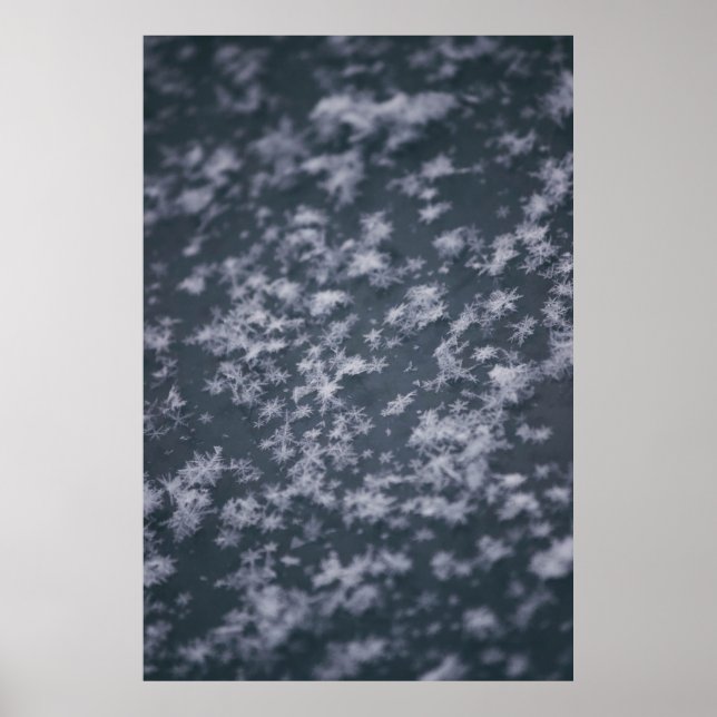 Póster Snow flakes (Frente)