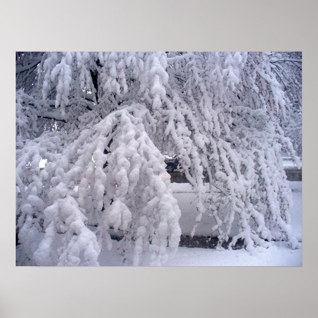 Póster Snow In April Poster (Frente)