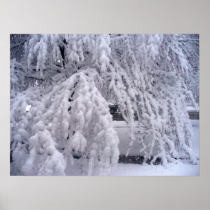Póster Snow In April Poster