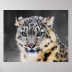 Póster Snow Leopard