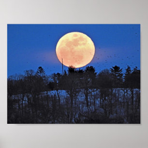 Póster Snow Moon Rising