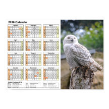Snow owl calendar 2016 DINA4 Poster