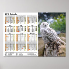 Póster Snow owl calendar 2016 DINA4 Poster