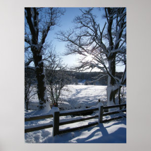 Póster Snow Trail