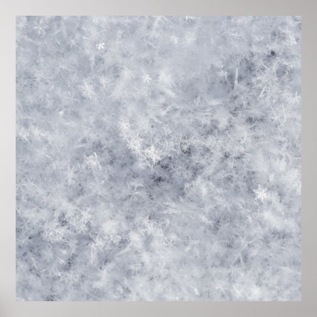 Póster Snow White Christmas (Frente)