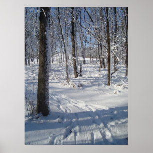 Póster Snow Woods