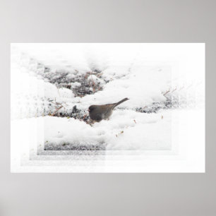 Póster Snowbird 01