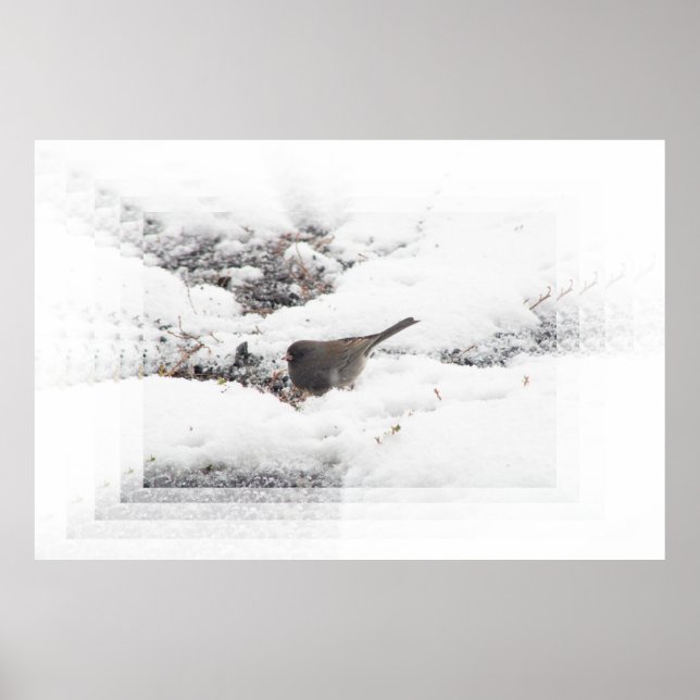 Póster Snowbird 01 (Frente)