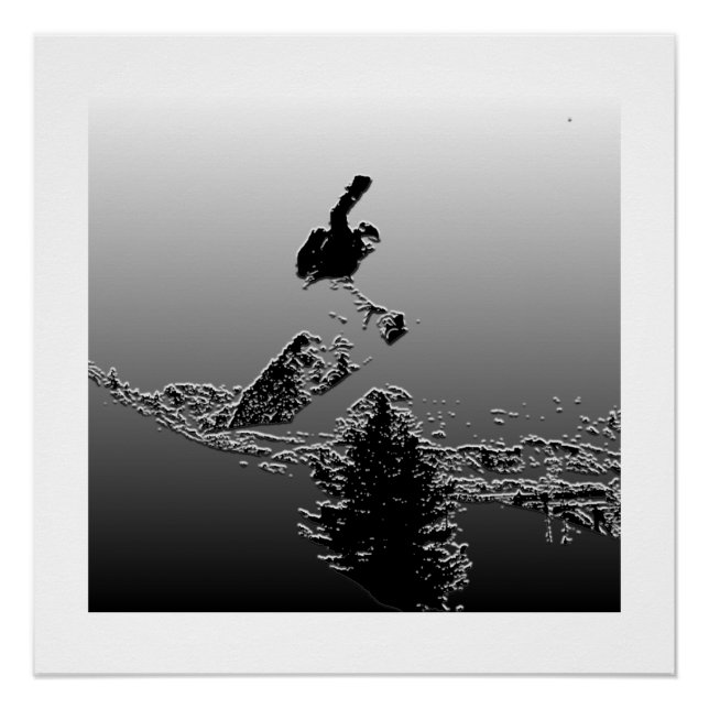 Póster Snowboard (Anverso)