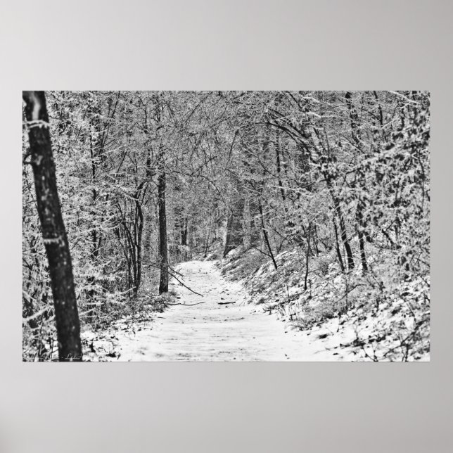 Póster Snowfall on the Forest Trail B&W (Frente)
