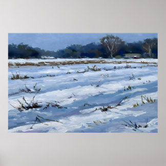 Póster Snowfield