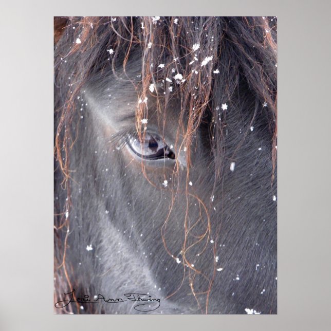 Póster Snowflakes en Fell Pony (Frente)