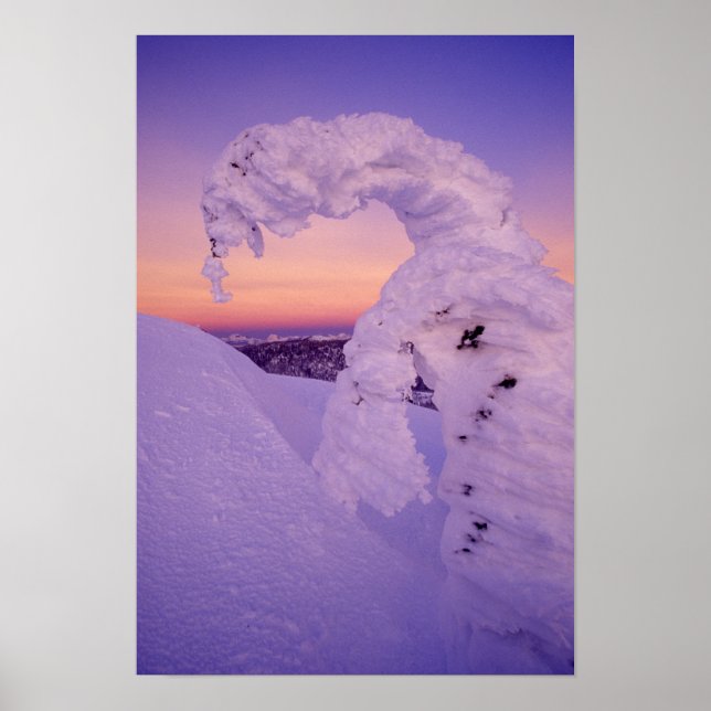 Póster Snowghost in the Whitefish Range at Twilight (Frente)