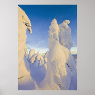 Póster Snowghosts al atardecer en la montaña de Whitefish