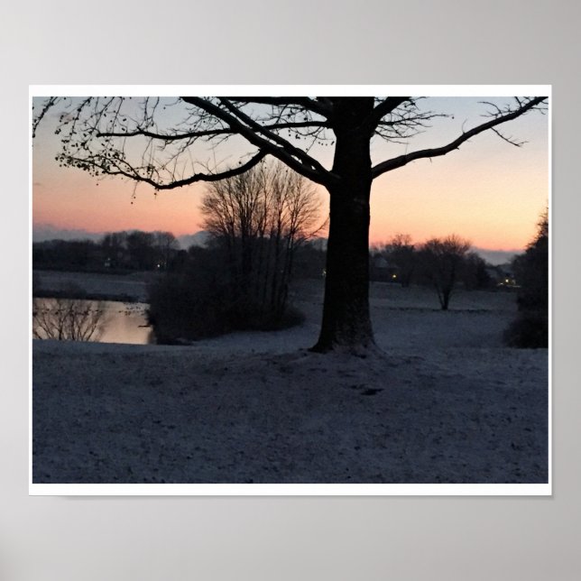 Póster Snowowset en Core Creek (Frente)