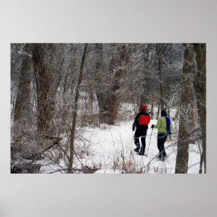 Póster Snowshoeing