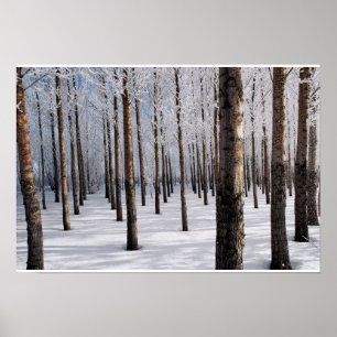 Póster Snowy Fairy Tale Forest