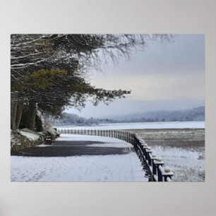 Póster Snowy Morning Poster