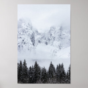 Póster Snowy mountains and spruce forest