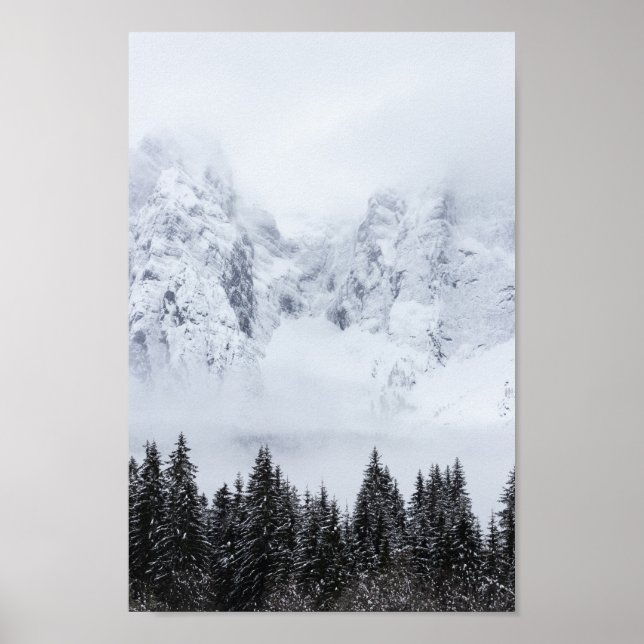 Póster Snowy mountains and spruce forest (Frente)