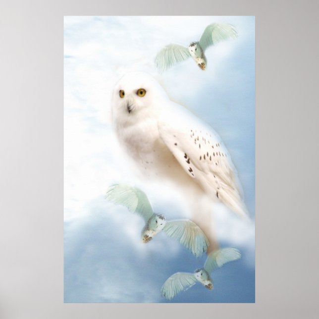 Póster Snowy Owl poster print (Frente)