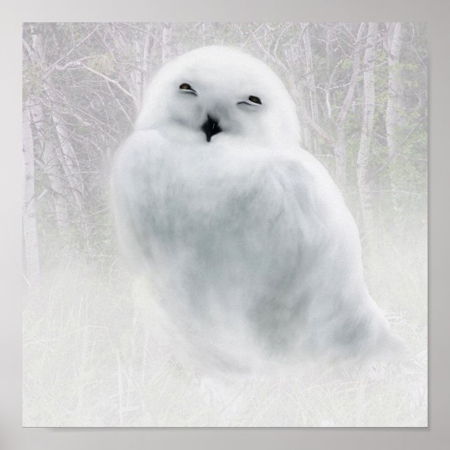 Póster Snowy Owlet (Frente)