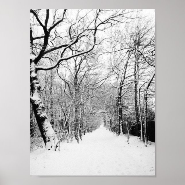 Póster Snowy Road Poster (Frente)
