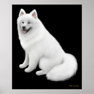 Póster Snowy Samoyed Dog Print