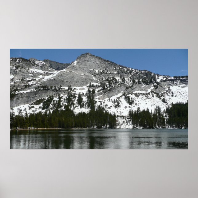 Póster Snowy Tenaya Lake Yosemite National Park Photo (Frente)