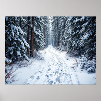 Póster Snowy Winter Forest Path With Footprints Hiking