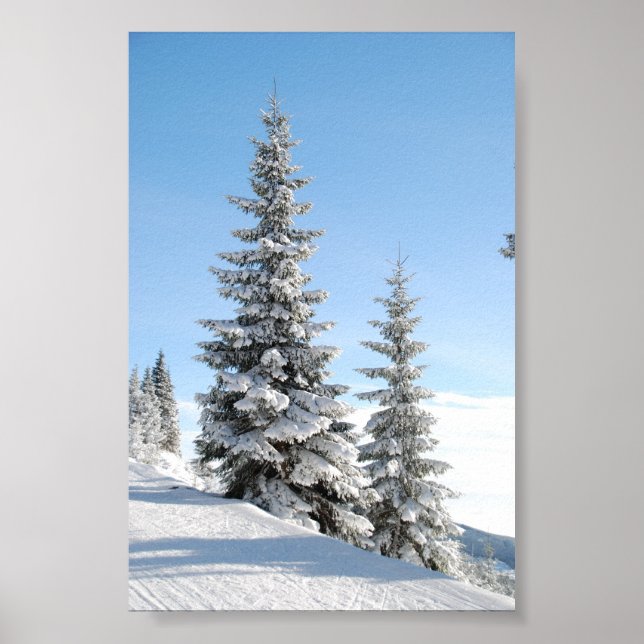 Póster Snowy Winter Scene with Christmas Trees (Frente)
