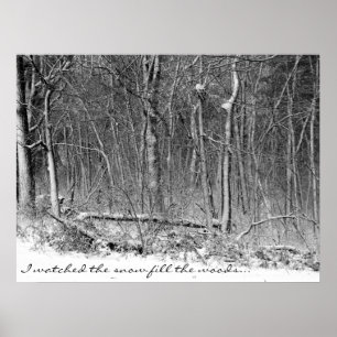 Póster Snowy Woods