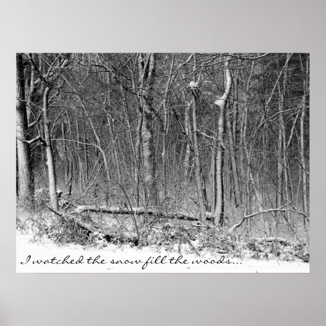 Póster Snowy Woods (Frente)
